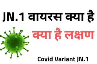 Jn 1 Variant Full Form Covid Variant Jn 1 Kya Hai, Jn 1 Virus Kya Hai Hindi, Jn 1 Variant Kya Hai, Jn 1 Variant Kya Hai Hindi, What Is Jn 1 Virus, What Is Jn 1, What Is Covid Variant Jn.1, What Is Covid Variant Jn 1